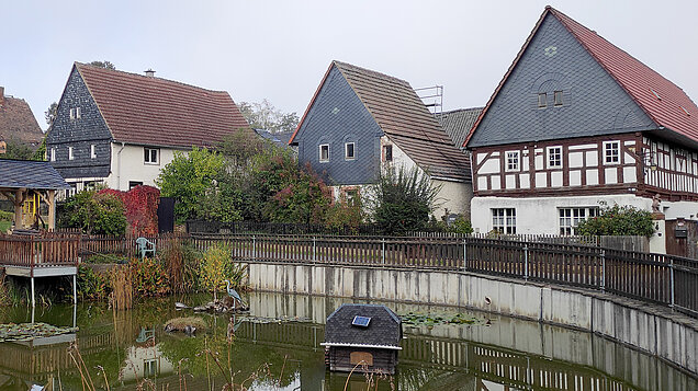 Ländliche Idylle am Dorfteich in Thierbaum