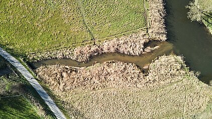 Renaturierung der Leppingwelle