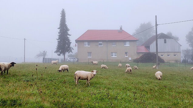 Erhalt der ländlichen Idylle im Ortsteil Kleinbeucha