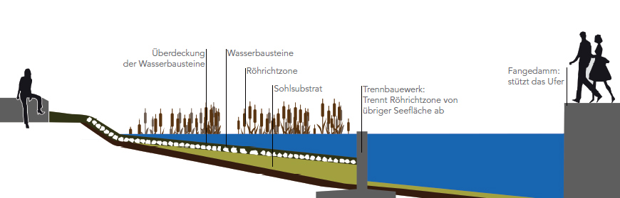 Regenwasserbewirtschaftung am Langen See - Björnsen Beratende Ingenieure